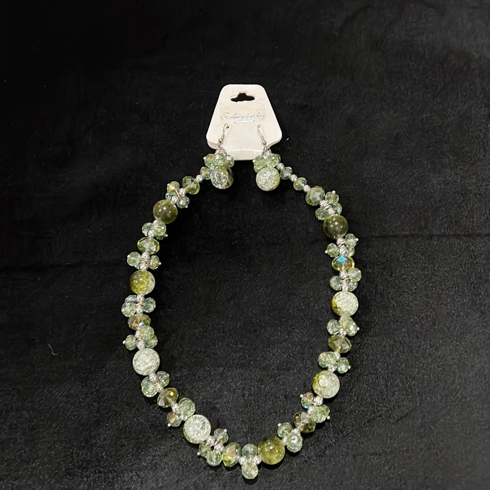 NWT Green Chrystal necklace/earring set